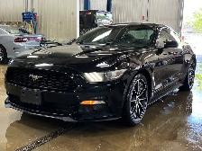 2016 Ford Mustang EcoBoost Premium - Backup Cam, Leather - Photo 2