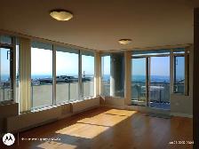 1,000 SQF 2-bedroom with 2-fullbath Condo SFU Burnaby