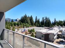 1,000 SQF 2-bedroom with 2-fullbath Condo SFU Burnaby - Photo 10