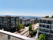 1,000 SQF 2-bedroom with 2-fullbath Condo SFU Burnaby - Photo 13