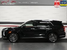 2024 Hyundai Palisade Ultimate Calligraphy No Accident Harmon/Ka - Photo 9