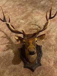 Decorative Elk Wall Mount