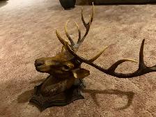 Decorative Elk Wall Mount - Photo 3
