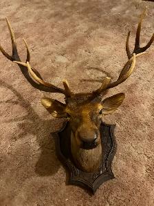 Decorative Elk Wall Mount - Photo 4