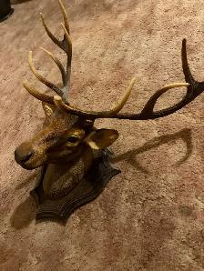 Decorative Elk Wall Mount - Photo 5