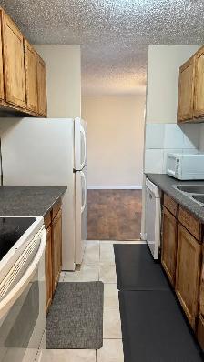 Well maintained apartments 2 bdrms for rent in heart of downtown - Photo 7