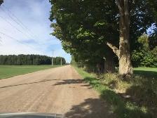 10 acres for sale, Pontiac, Qc. 25 minutes from Aylmer(Gatineau) - Photo 4