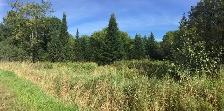 10 acres for sale, Pontiac, Qc. 25 minutes from Aylmer(Gatineau) - Photo 6