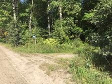 10 acres for sale, Pontiac, Qc. 25 minutes from Aylmer(Gatineau) - Photo 9