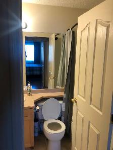 Room for rent in a two bedroom two bathroom downtown condo. - Photo 3