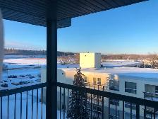 Room for rent in a two bedroom two bathroom downtown condo. - Photo 10