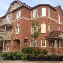 Room Rental at Steeles and James Potter