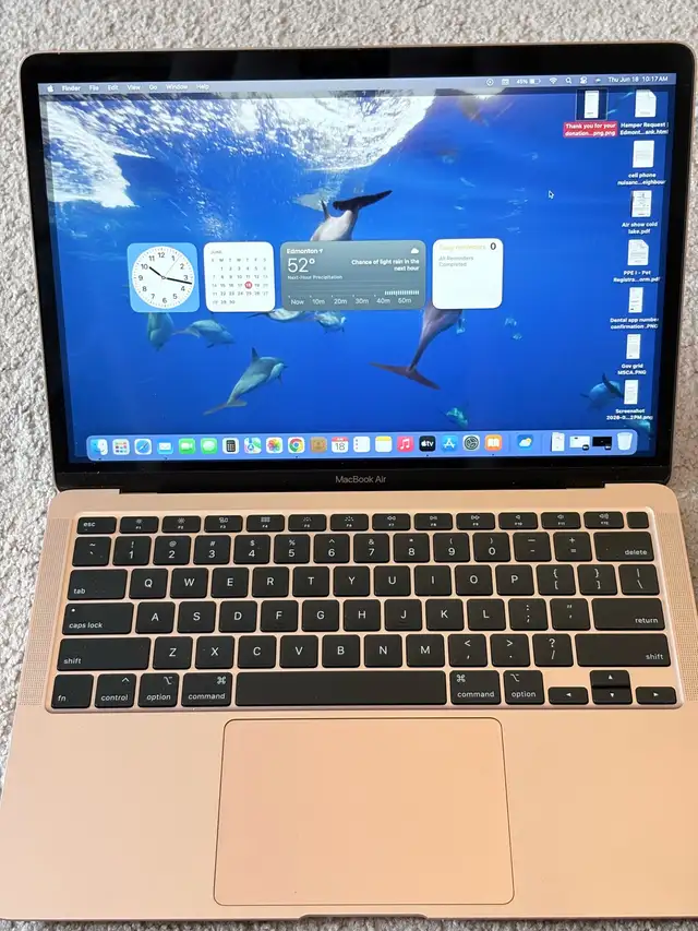 Apple MacBook Air computer 13"