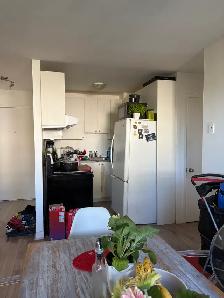Beau grand 4 1/2 Charlesbourg, demi sous-sol - Photo 8