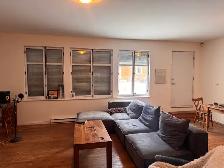 Superbe très grand 4 1/2, St-Sauveur, Juillet Terrasse - Photo 8