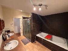 Superbe très grand 4 1/2, St-Sauveur, Juillet Terrasse - Photo 12