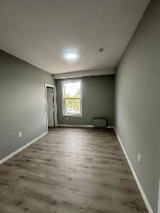 697 Hale #4 - Photo 4