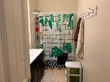 Big 3 bedroom, Central Halifax, $2550 all in - Photo 7