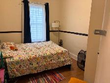 Big 3 bedroom, Central Halifax, $2550 all in - Photo 10