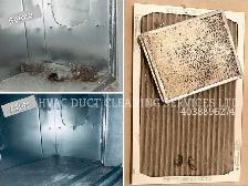Complete Furnace & Duct cleaning only $119   FREE Dryer 4036 - Photo 8