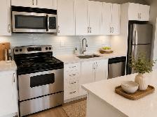 1 Bedroom Apartment for Rent - Photo 10