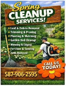 Spring Clean Up