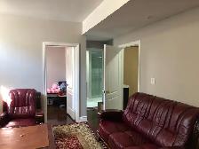 One Bedroom in New Two Bedrooms Basement @ Steeles Ave/Mississau