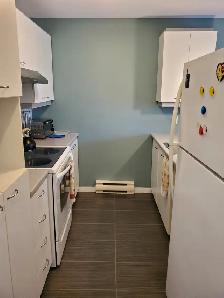 Beau et grand 3 1/2 - Lévis (St-Nicolas) - Photo 2