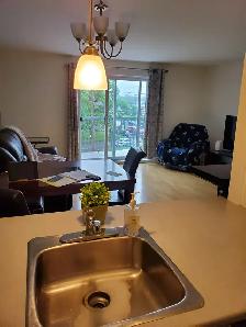 Beau et grand 3 1/2 - Lévis (St-Nicolas) - Photo 4