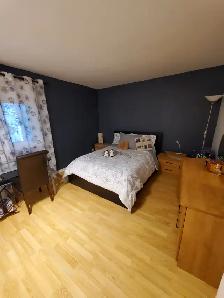 Beau et grand 3 1/2 - Lévis (St-Nicolas) - Photo 9