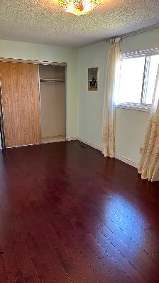 Entire house rent closed to Bathurst and Steeles - Photo 5