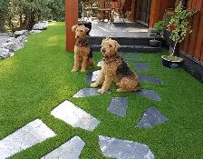fake grass and sod