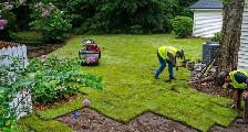 fake grass and sod - Photo 4
