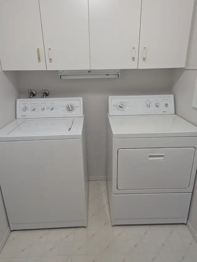 2 bed rooms apartment for rent