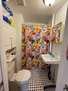 Very nice bachelor unit in Centretown- Available September 1st! - Photo 5