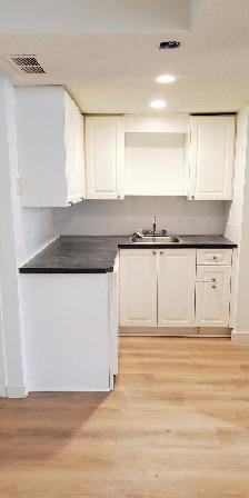 Bright Furnished 1 Bedroom 1 Bathroom Basement Suite in NW - Photo 6