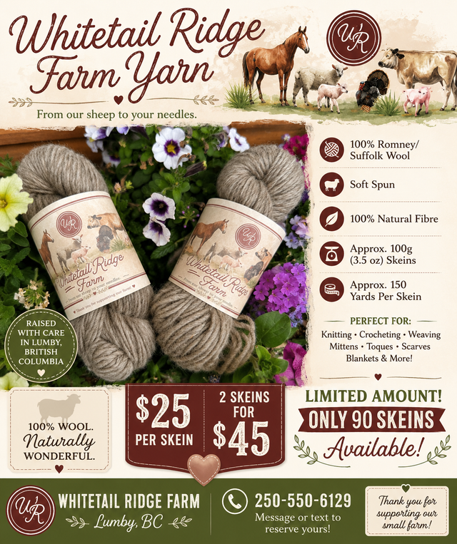 100% Romney/Suffolk Wool Yarn – Farm Raised in Lumby BC – 100g S