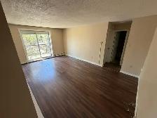 ALL INCLUSIVE 1 bdrm unit - 830 Wellington St - Photo 3