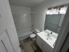 ALL INCLUSIVE 1 bdrm unit - 830 Wellington St - Photo 4