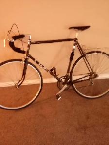 12.5 speed for sale! - Photo 2