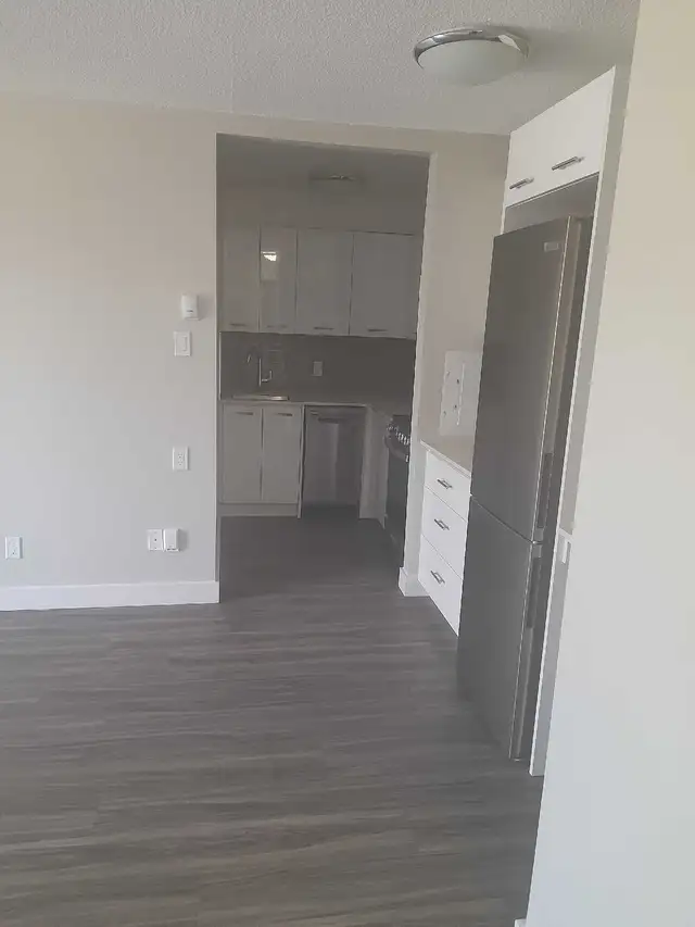 1-bedroom suite