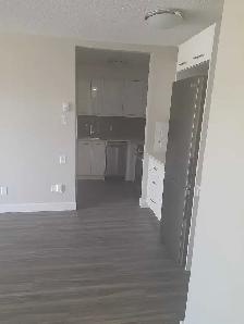 1-bedroom suite