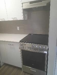 1-bedroom suite - Photo 3