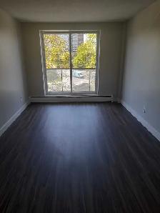 1-bedroom suite - Photo 5