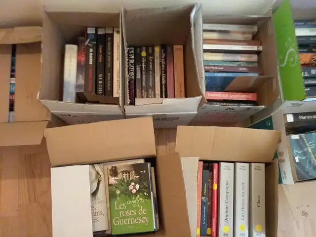 Laval,pour marché aux puces ,250livres à vendre en lot seulement