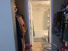 2 bedroom   2 bathroom and den - Photo 7