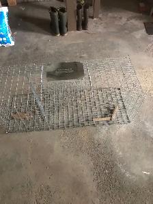 magpie trap - Photo 3