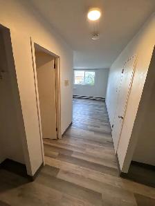 Studio Suite in Brevoort Park - Photo 6