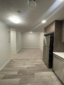 LEGAL BASEMENT SUITE FOR RENT - Livingston NW - Photo 2