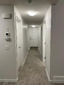 LEGAL BASEMENT SUITE FOR RENT - Livingston NW - Photo 6